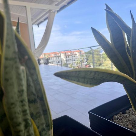 B&B Margani Tropea Eksteriør bilde